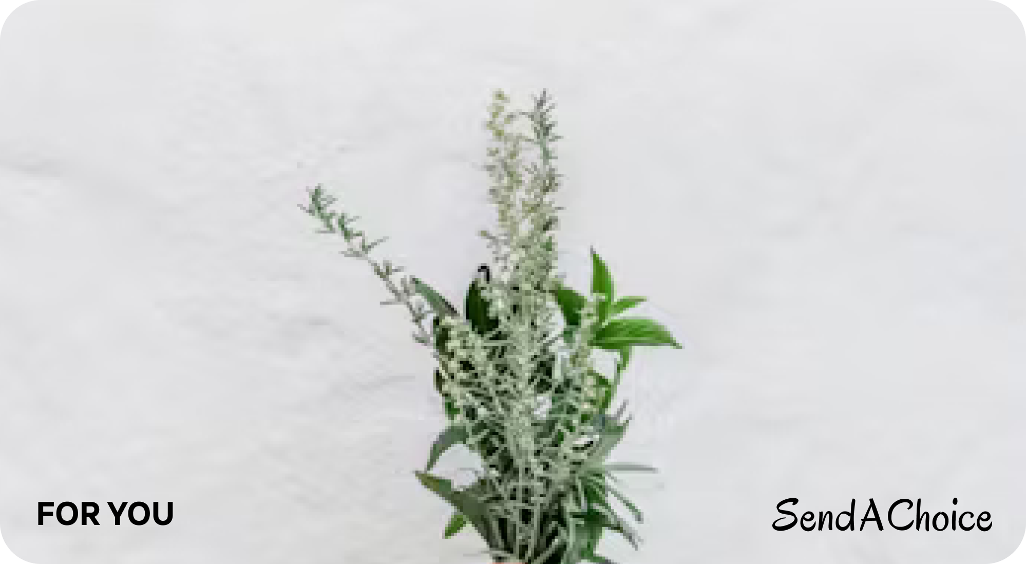 Ayurveda Glow Card gift card