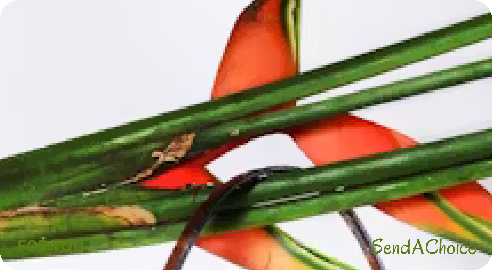 Sustainable Fashion Card gift card