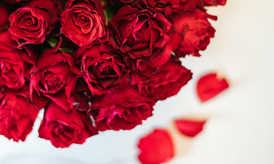 Valentine Gift Card For Her gift card