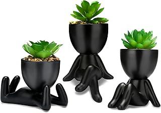 Mini Desktop Succulent Plant in Pot