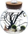 Eco Moss Terrarium Globe