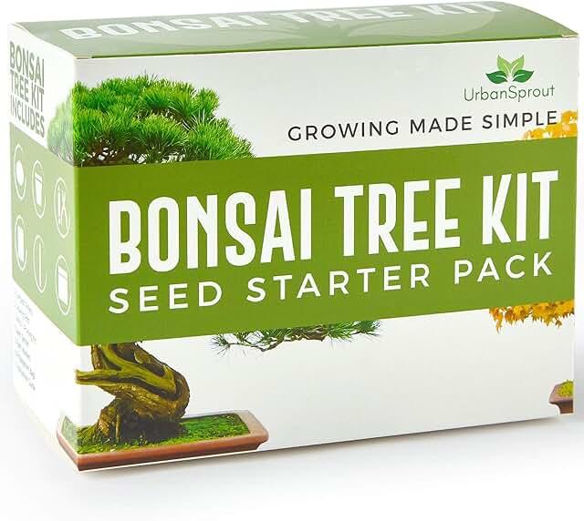 Mini Bonsai Tree Starter Kit