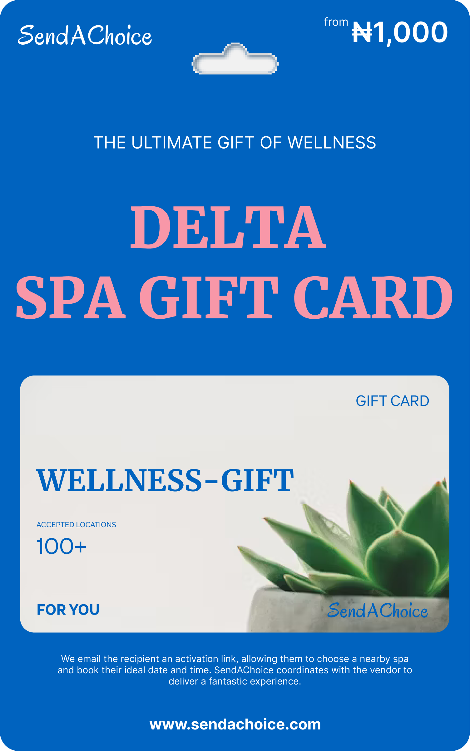 Delta Experience Gift Card