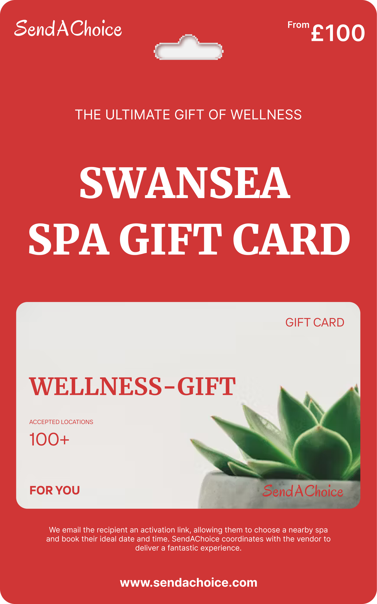Swansea Experience Gift Card