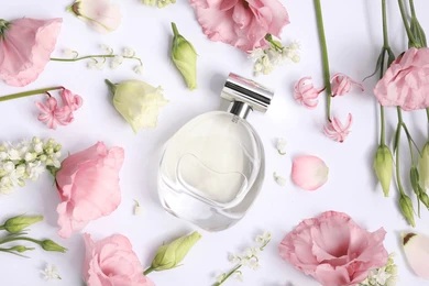 Oriental & Warm Scents